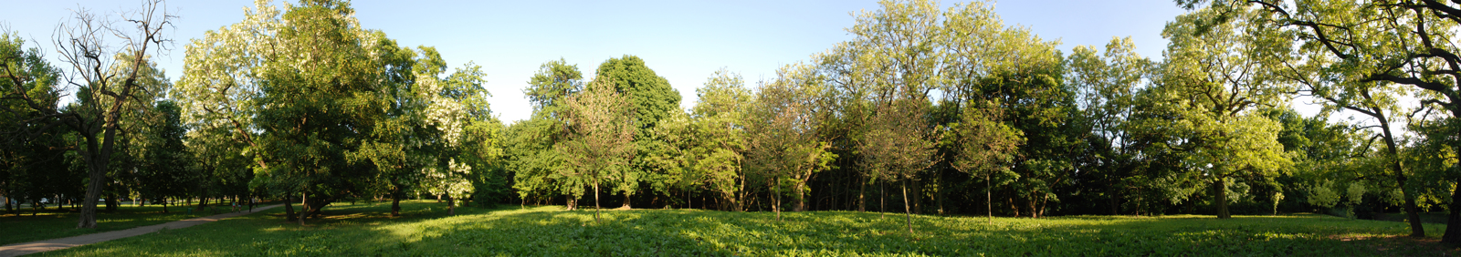 land